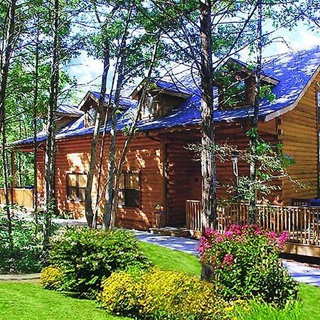Cabins At Grand Mountain By Thousand Hills Resort Бренсън Екстериор снимка