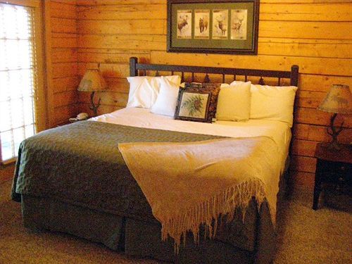 Cabins At Grand Mountain By Thousand Hills Resort Бренсън Екстериор снимка